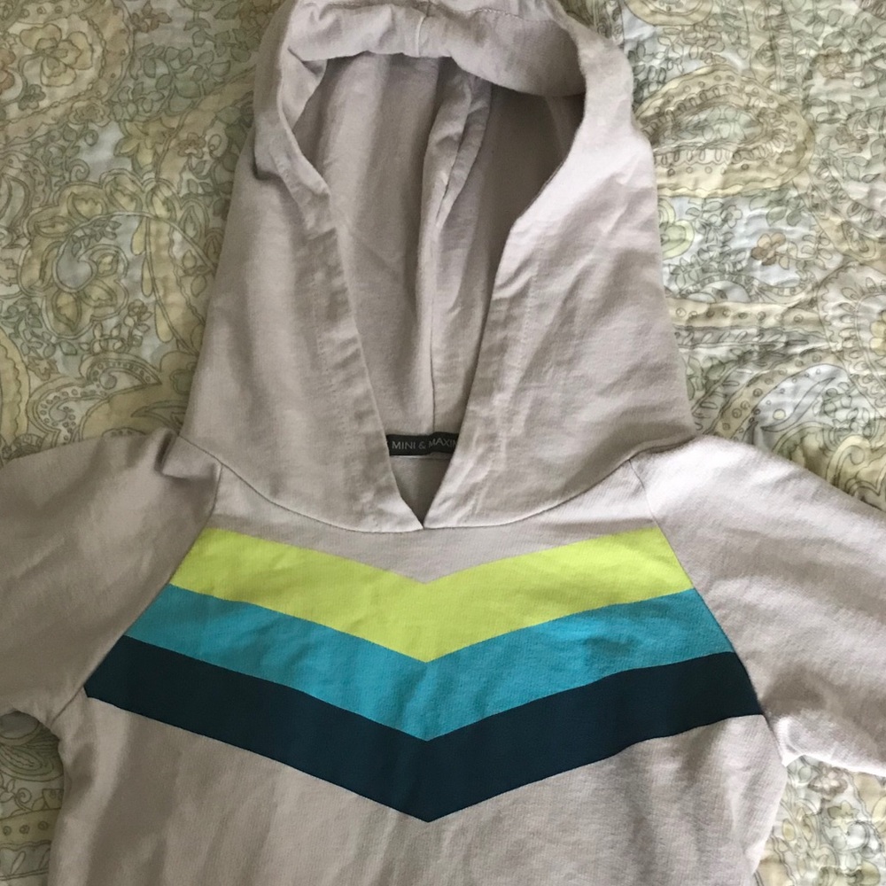 Mini and Maximus retro hoodie